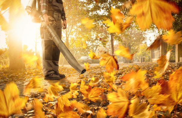 Leaf Blowing Service in Madison
