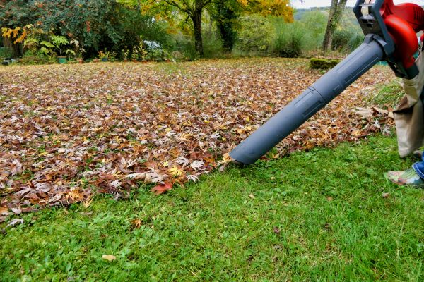 Leaf Vacuuming Service in Madison