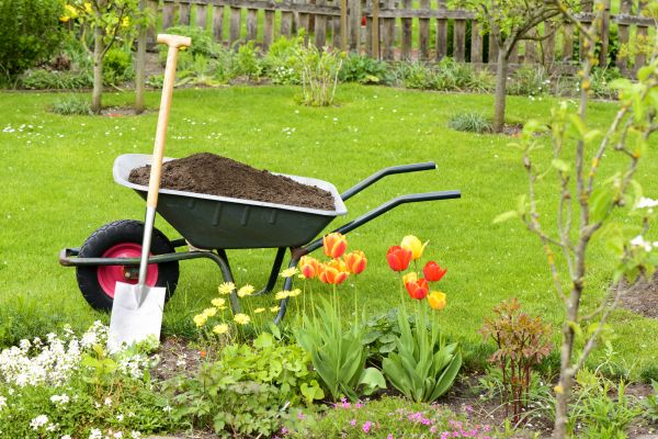Spring Yard Cleanup in Madison