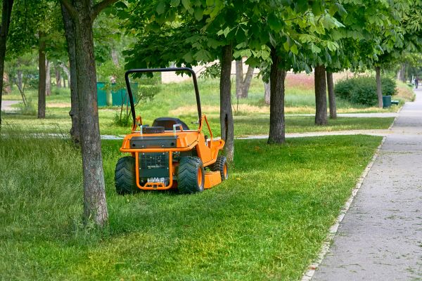 Landscaping Cleanup Service in Madison