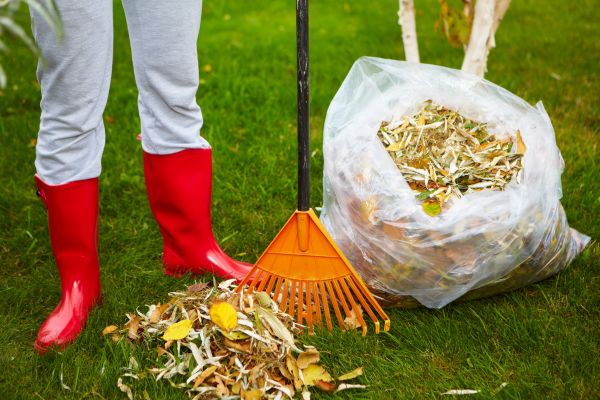 Leaf Disposal Service in Madison