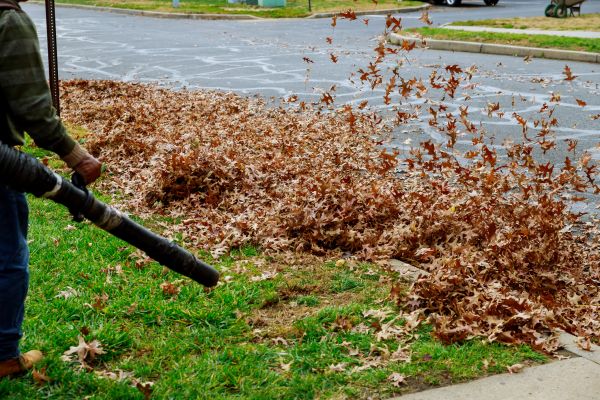 Garden Leaf Removal in Madison