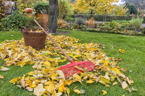 Autumn Landscape Maintenance