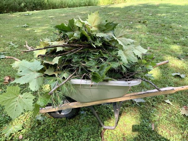 Landscaping Debris Disposal