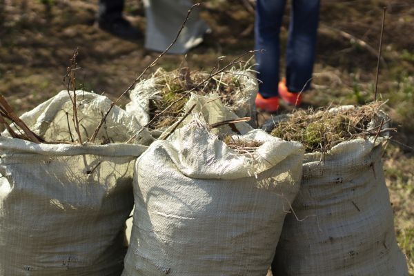 Brush Cleaning Service in Madison