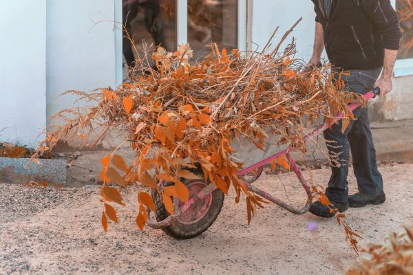 Cost of Lawn Debris Cleanup in Madison