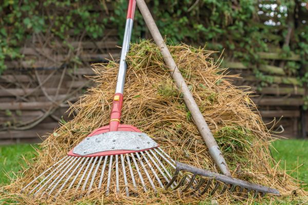 Pine Straw Clearing in Madison