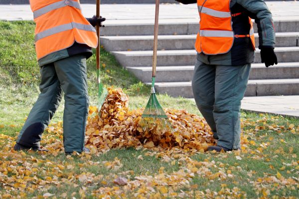 Leaf Hauling Service in Madison