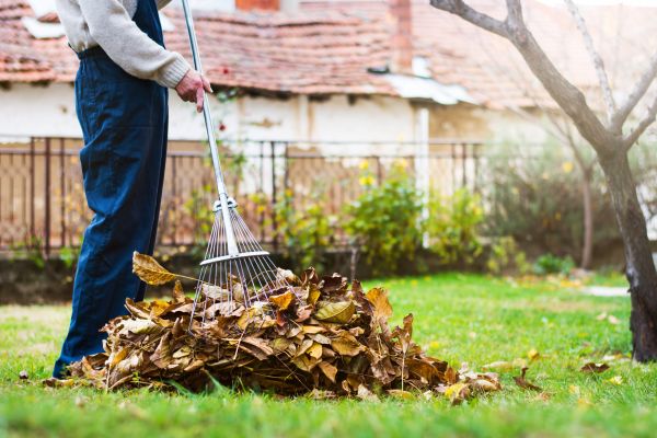 Spring Lawn Cleanup in Madison