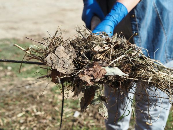 Garden Debris Cleanup