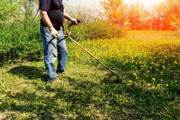 Yard Clearing Service in Madison