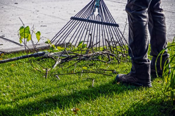 Yard Debris Cleanup in Madison