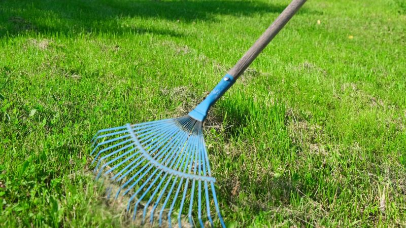 Power raking and dethatching