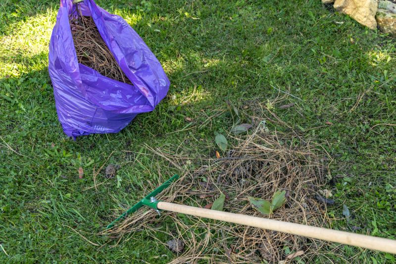 Power raking for thatch removal